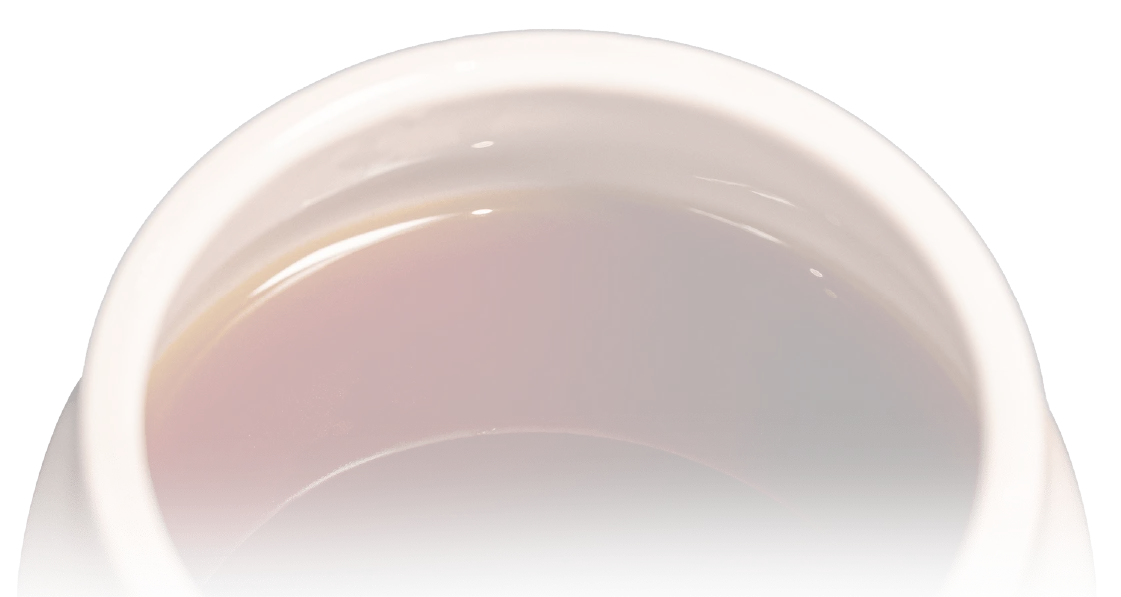 スペシャリティコーヒーとは